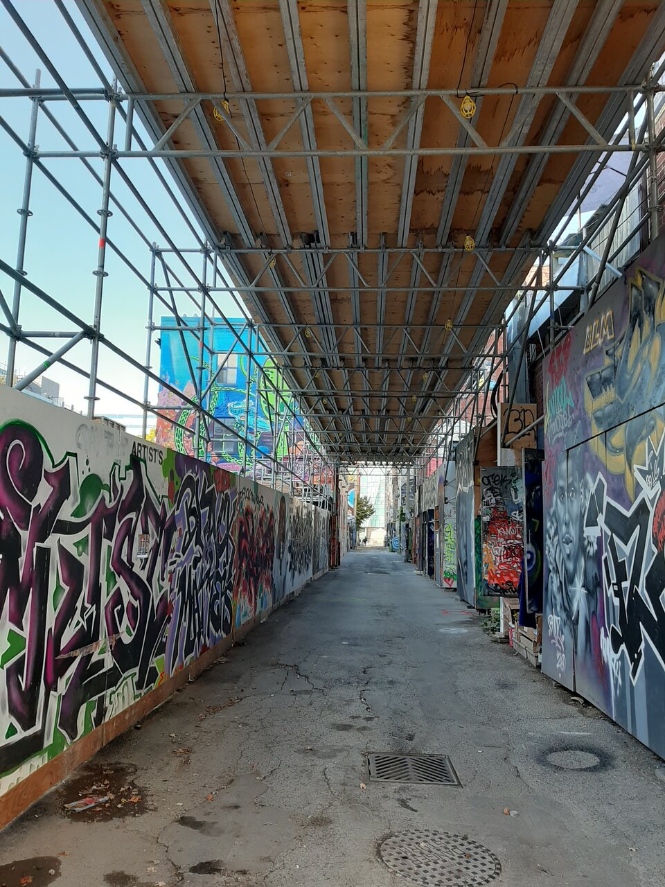 20201017_102533.jpg