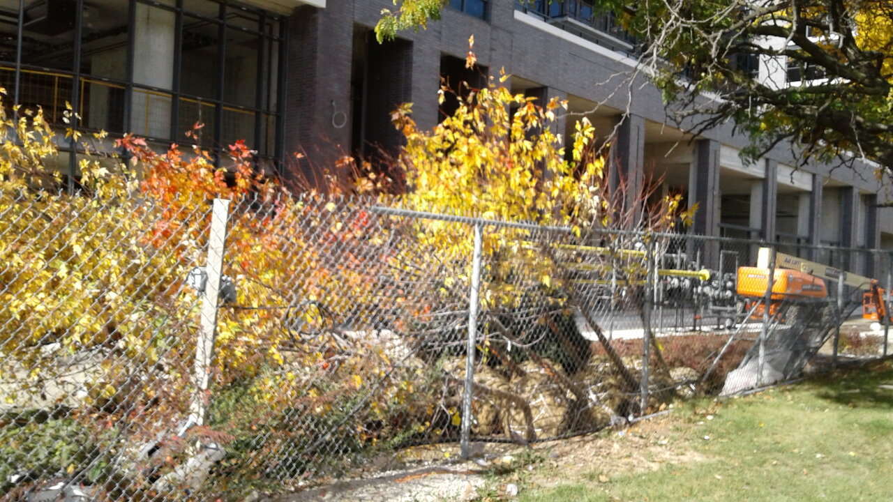 20201017_121655.jpg