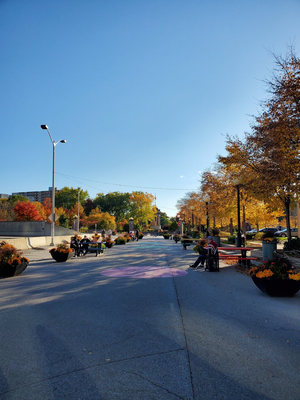 20201017_163749.jpg