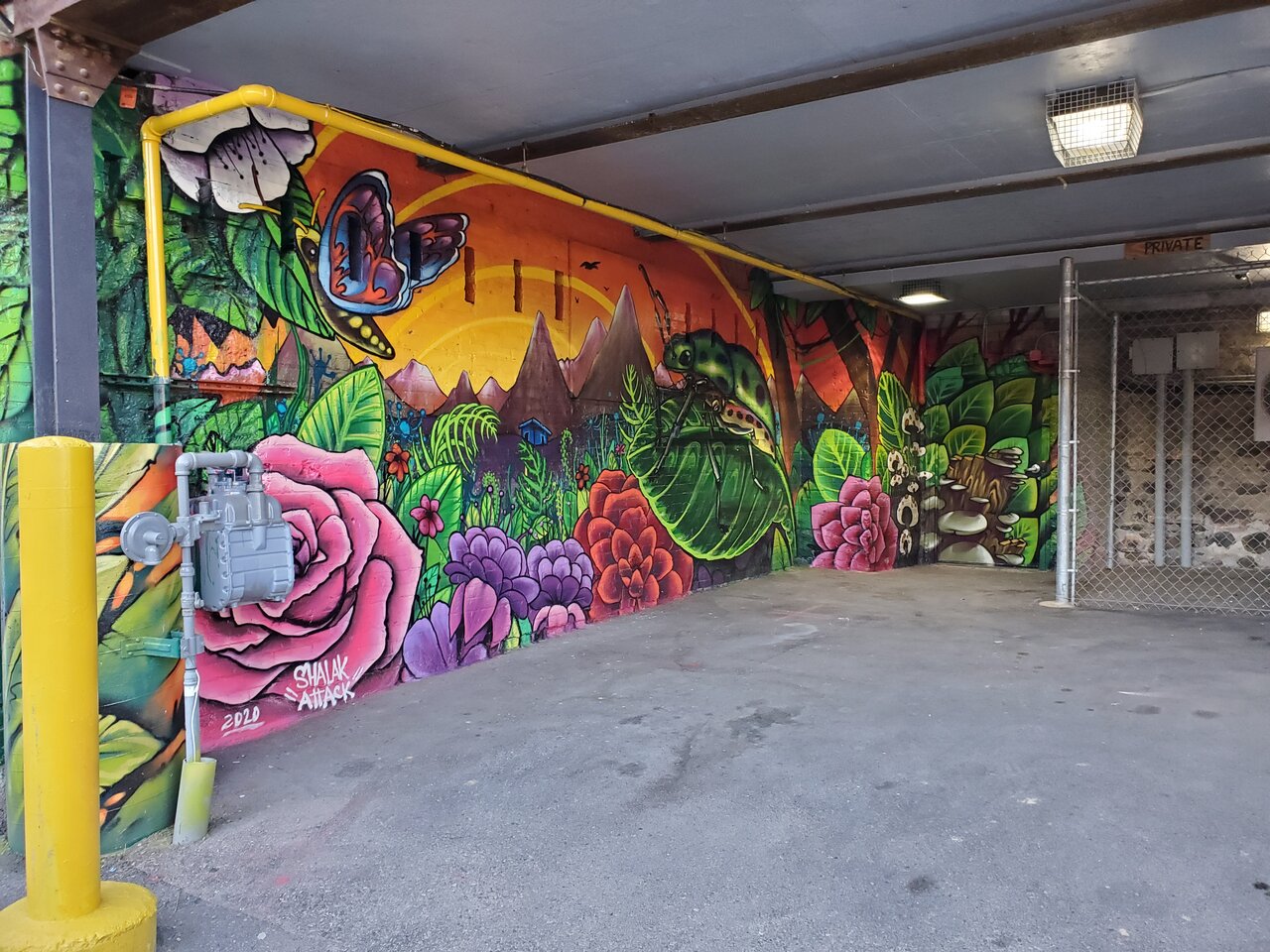 20201017_170614.jpg