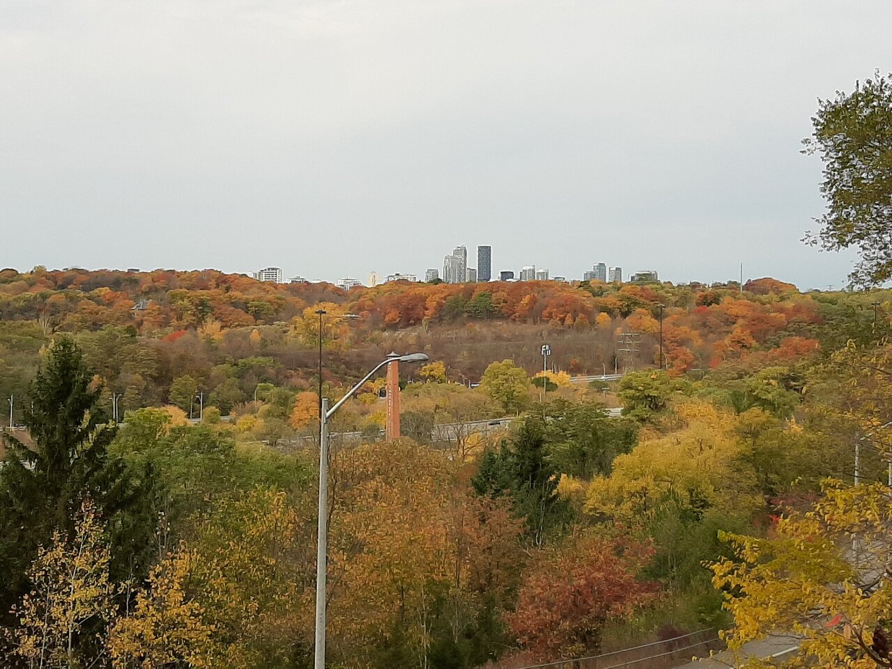 20201025_110630.jpg
