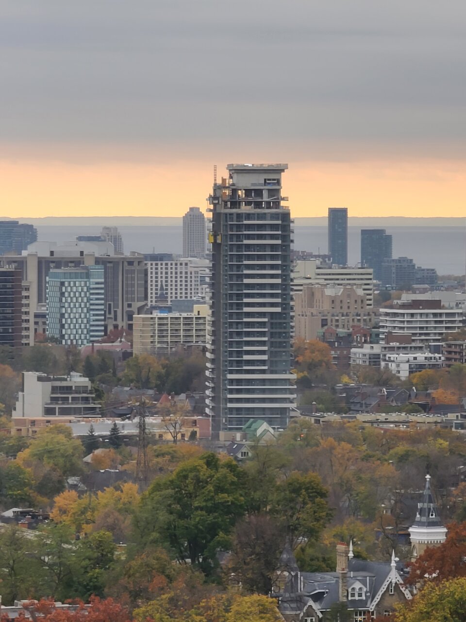 20201103_142027.jpg