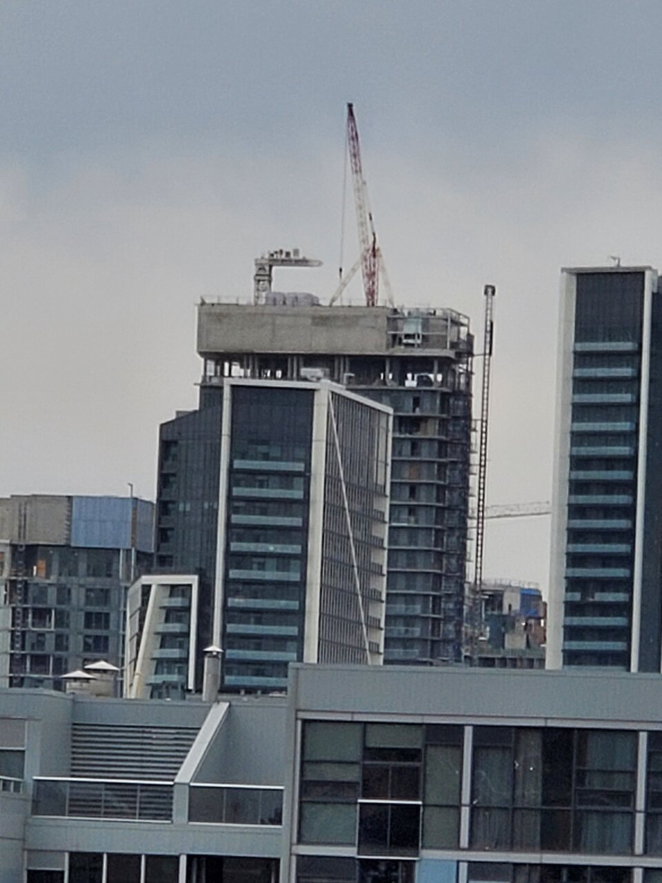 20201105_155521.jpg