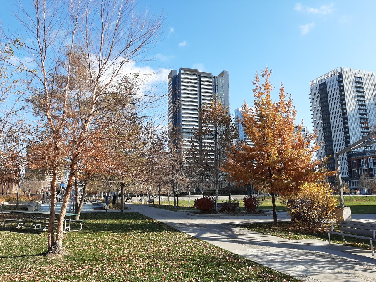 20201114_115903.jpg