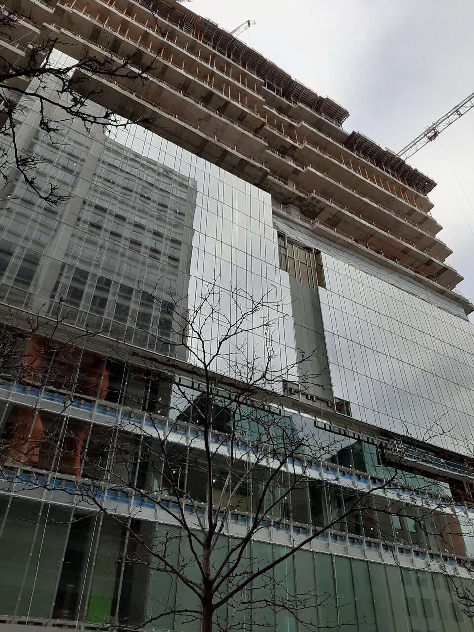 20201121_104750.jpg