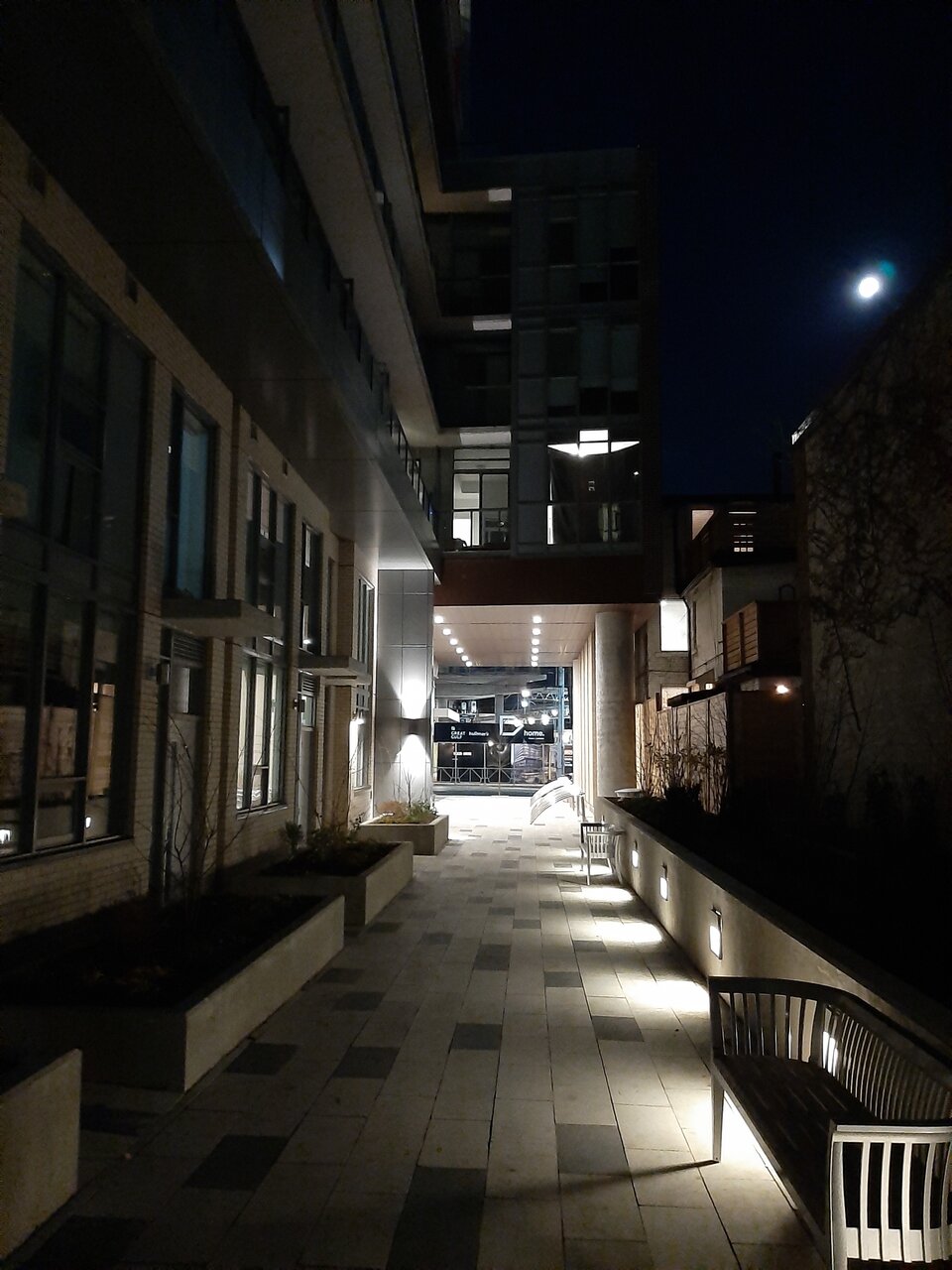 20201128_182521.jpg
