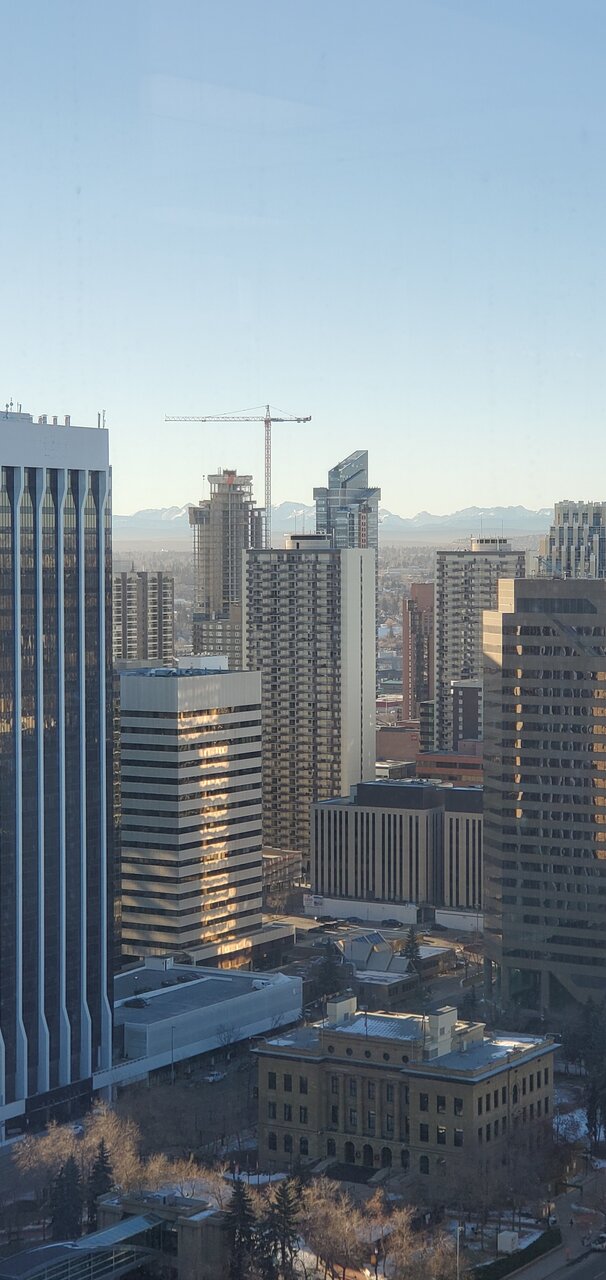 20201202_133139.jpg