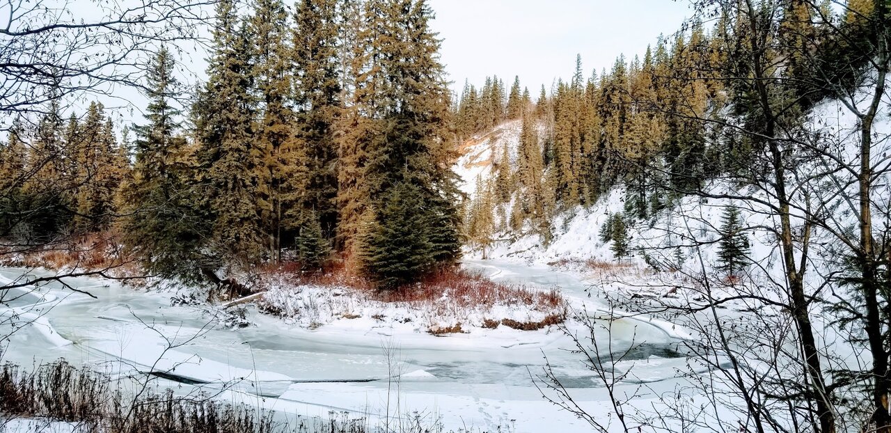 20201205_141554_2.jpg