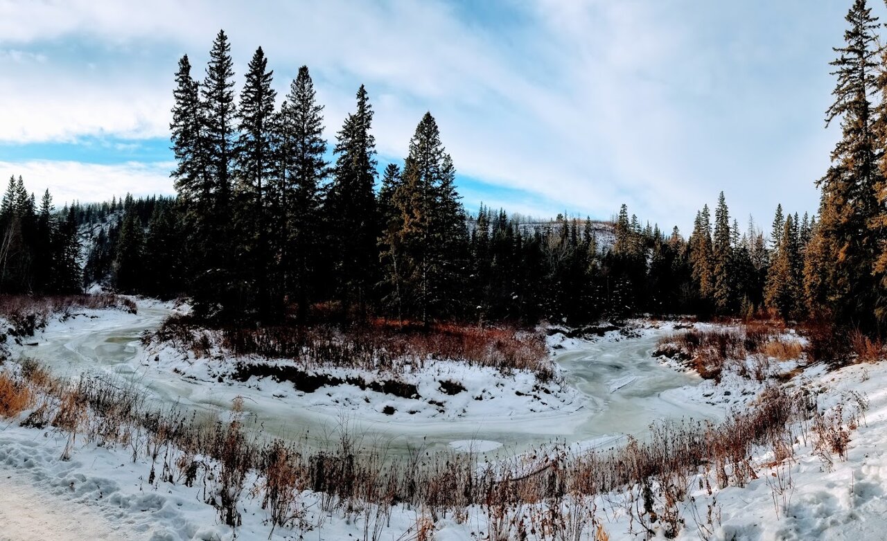 20201205_142904_2.jpg