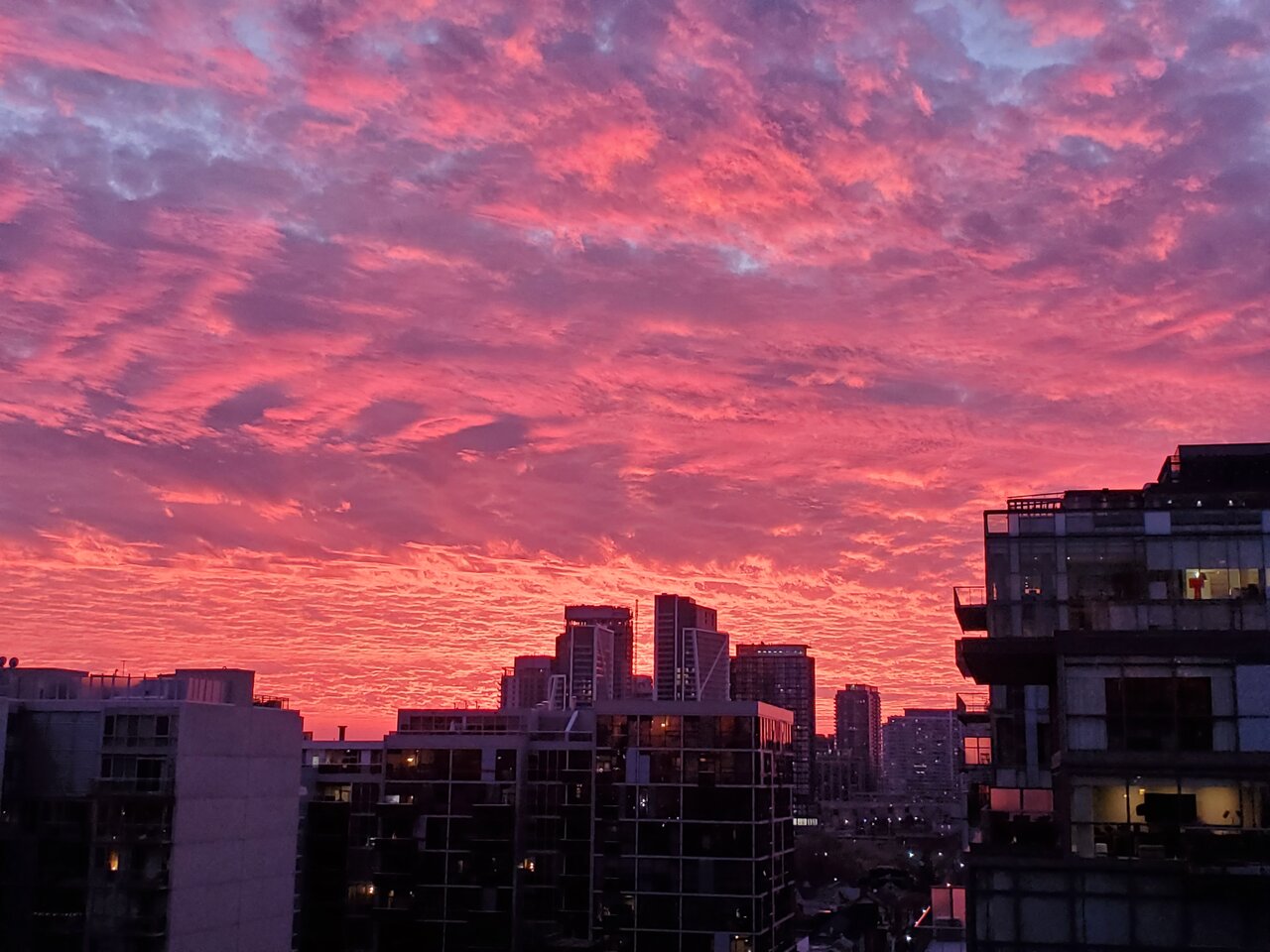 20201210_165201.jpg