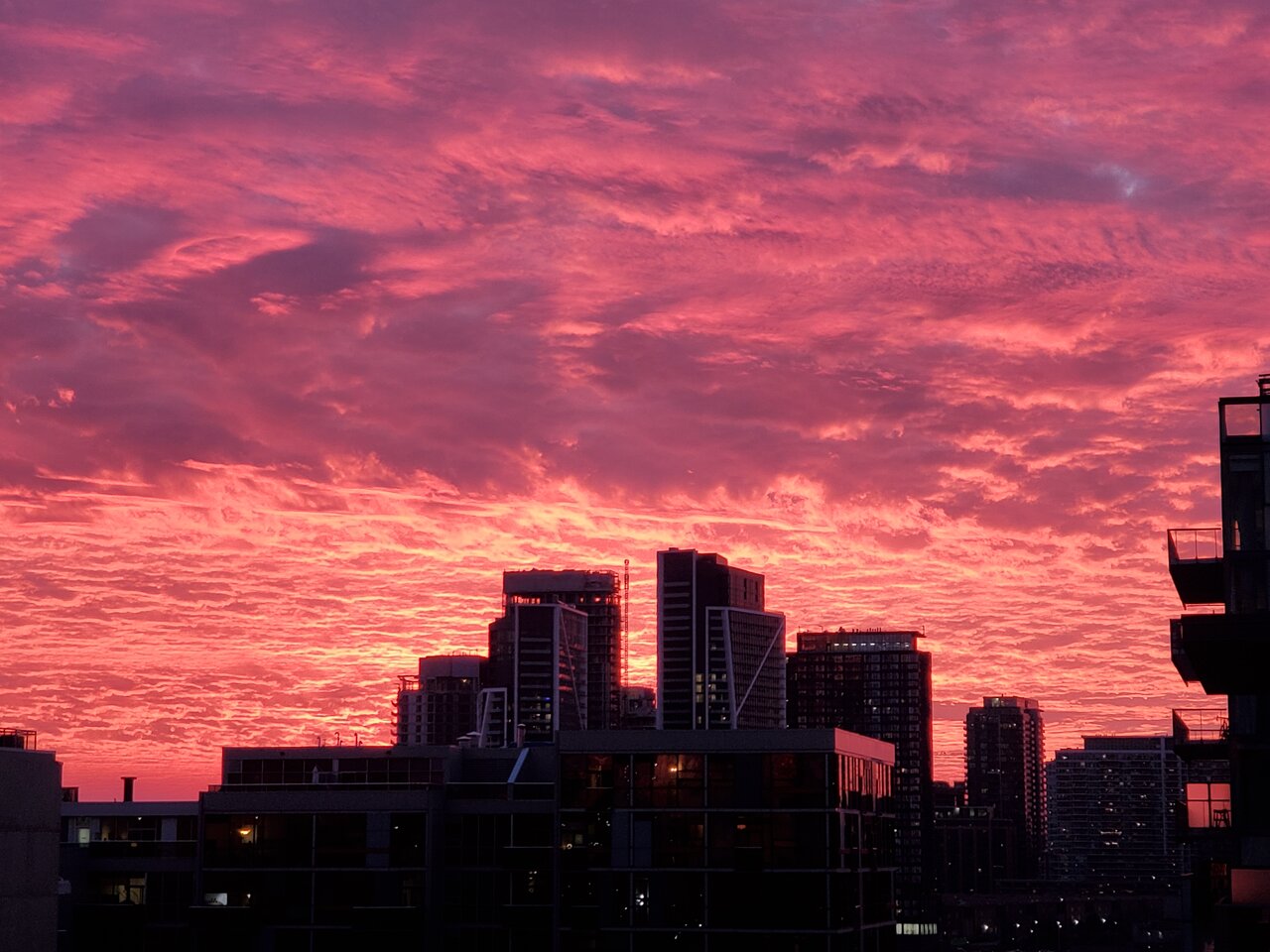 20201210_165227.jpg