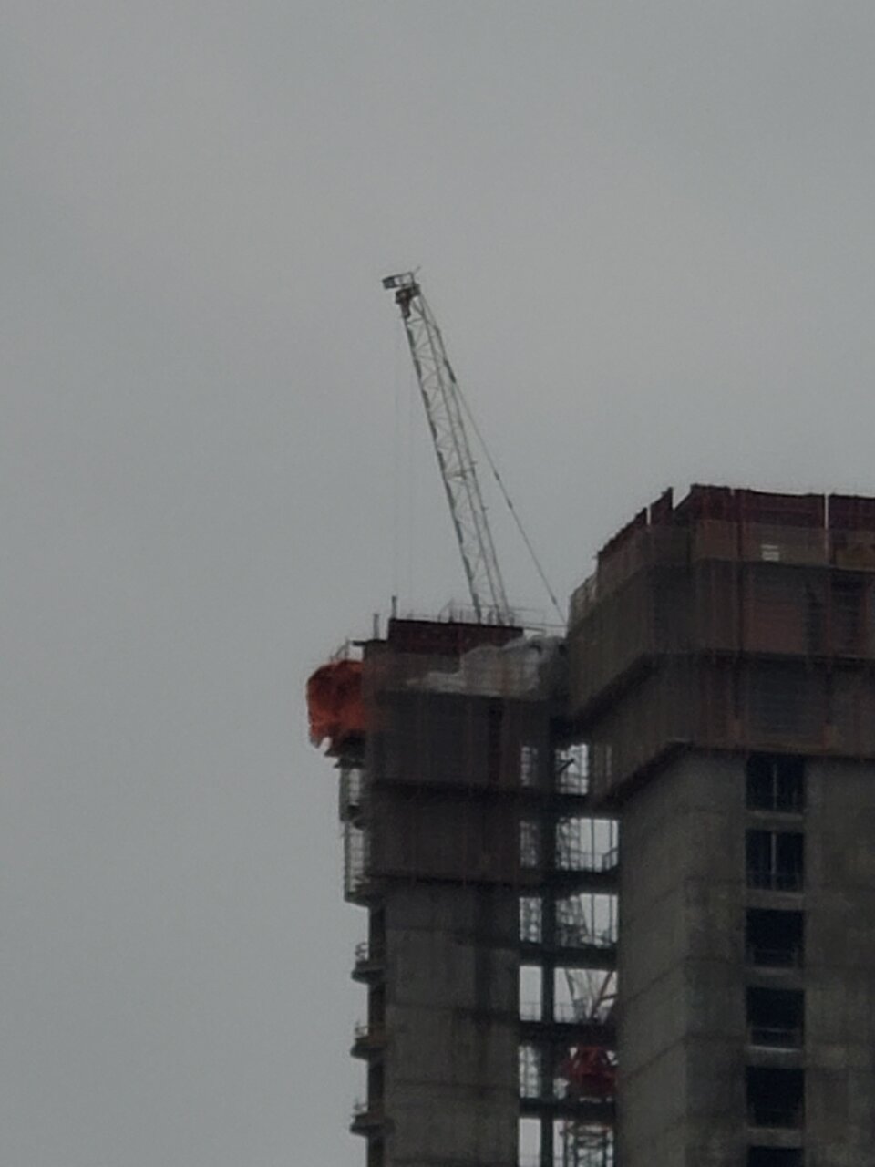 20201228_092546.jpg