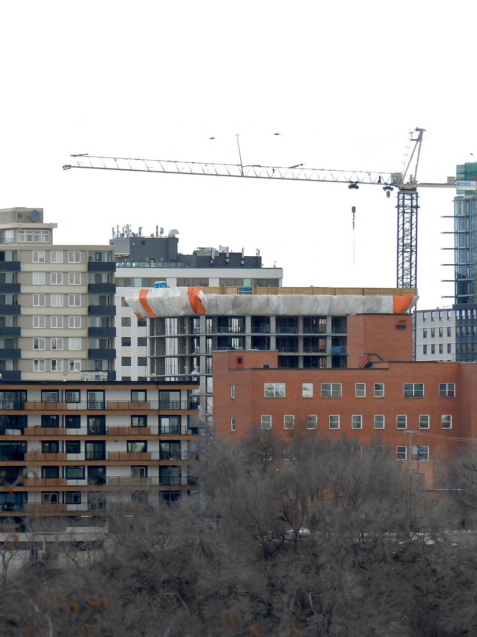 2021-02-22 051.JPG