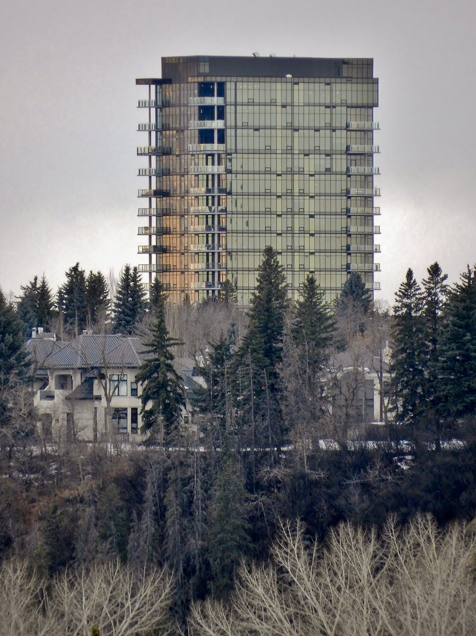 2021-02-22 080.JPG