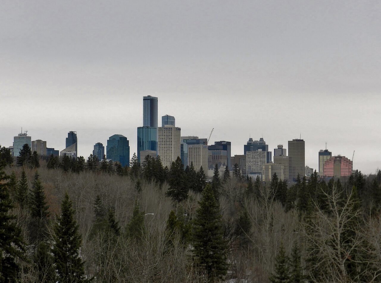 2021-03-02 065.JPG
