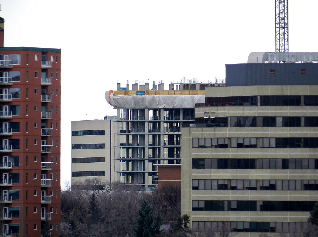 2021-03-06 004.JPG
