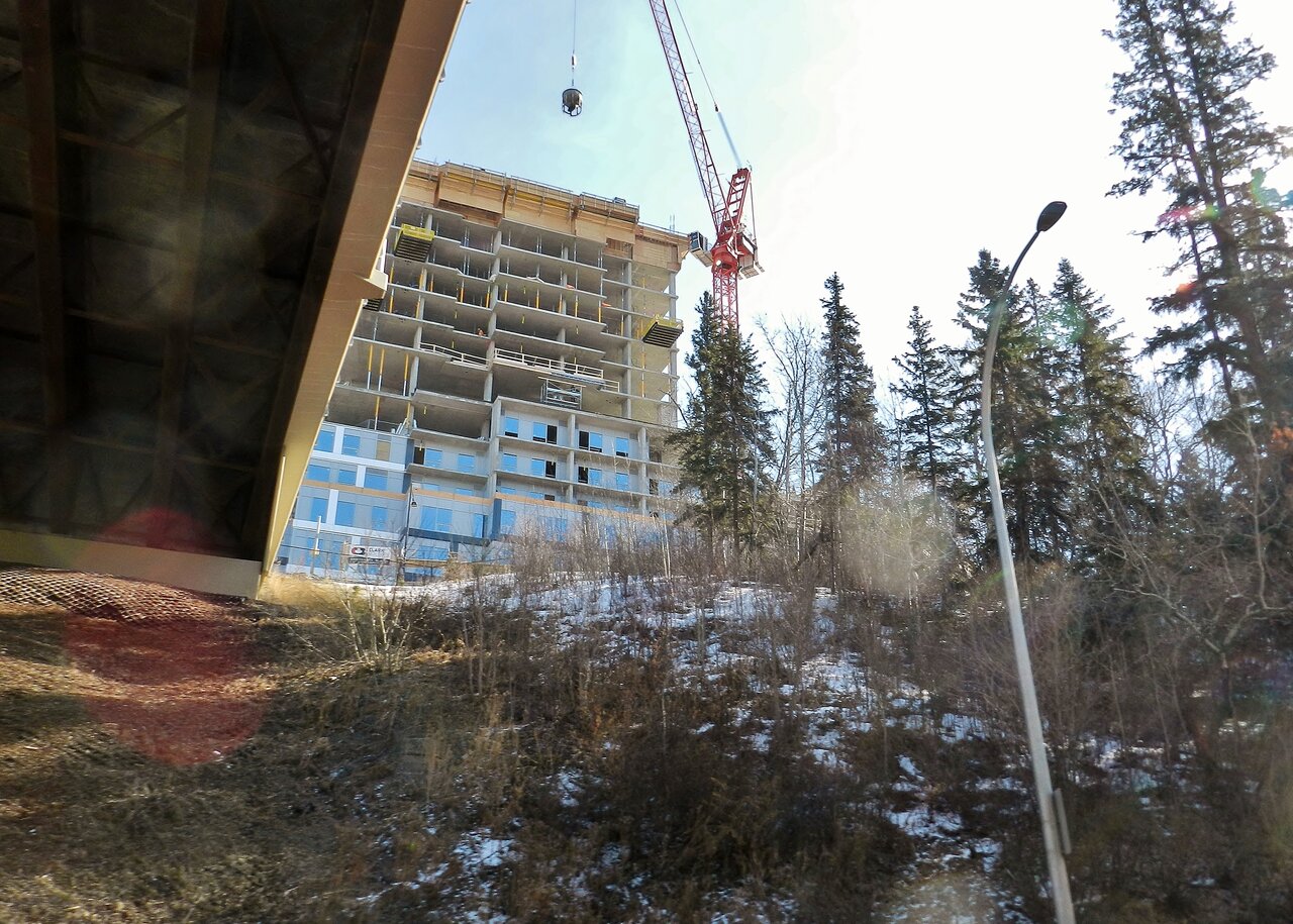 2021-03-11 014.JPG