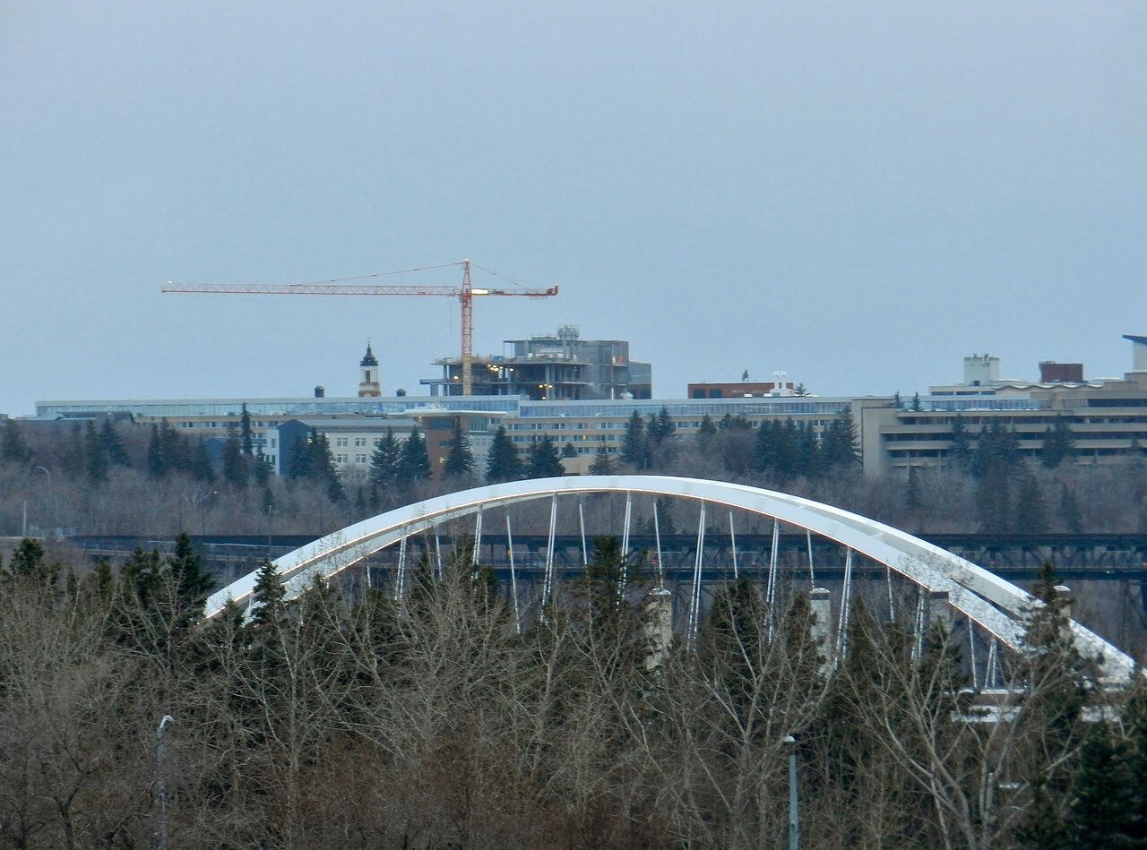 2021-04-07 103.JPG