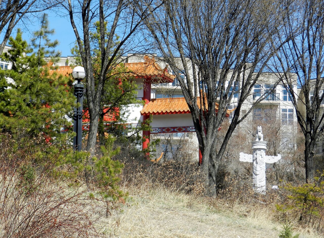 2021-04-21 238.JPG