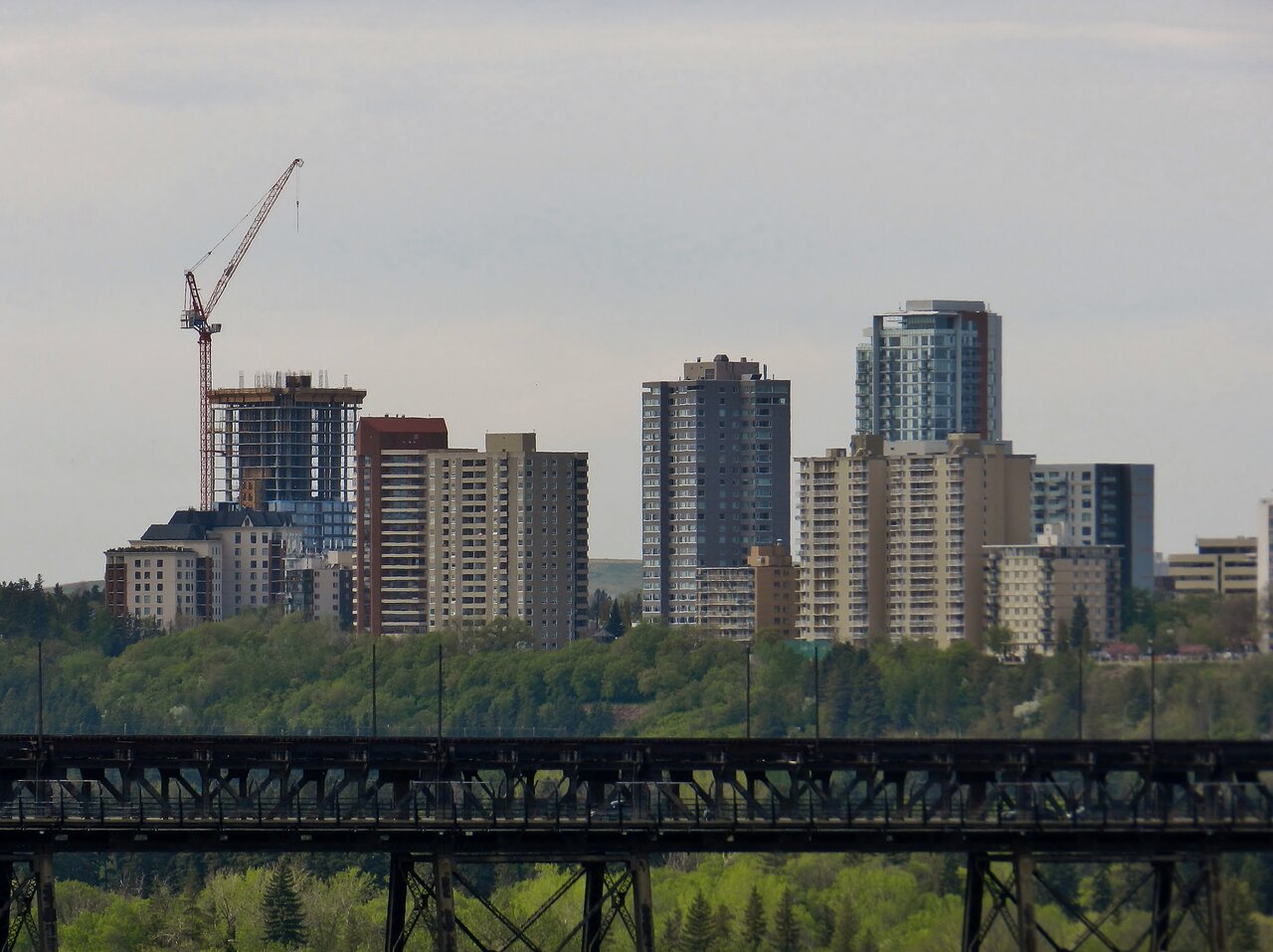 2021-05-23 004.JPG