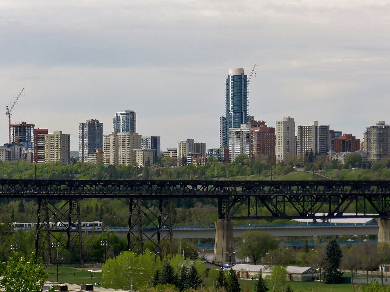 2021-05-23 010.JPG