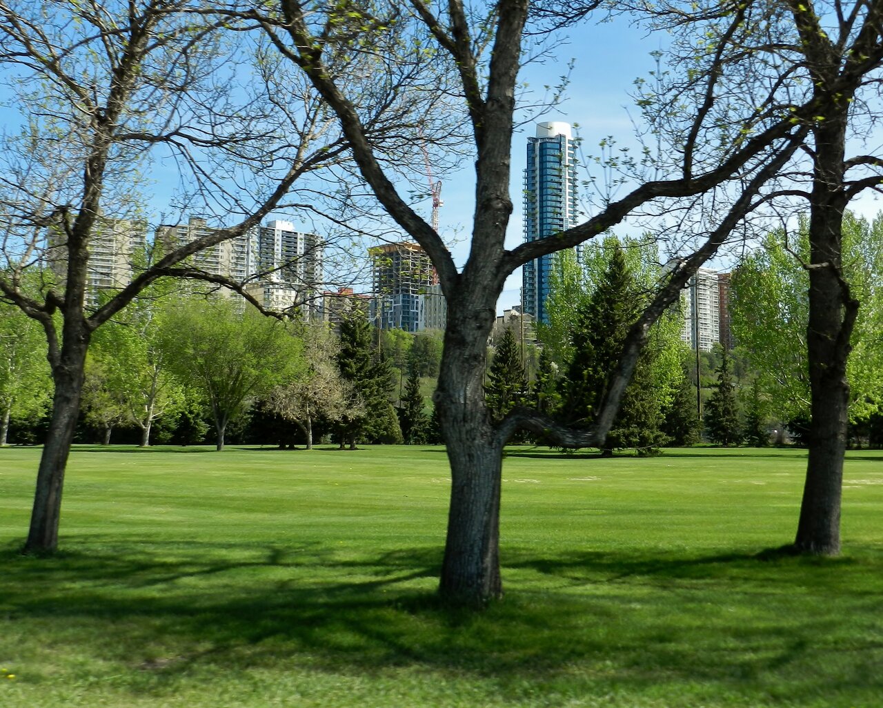 2021-05-27 069.JPG