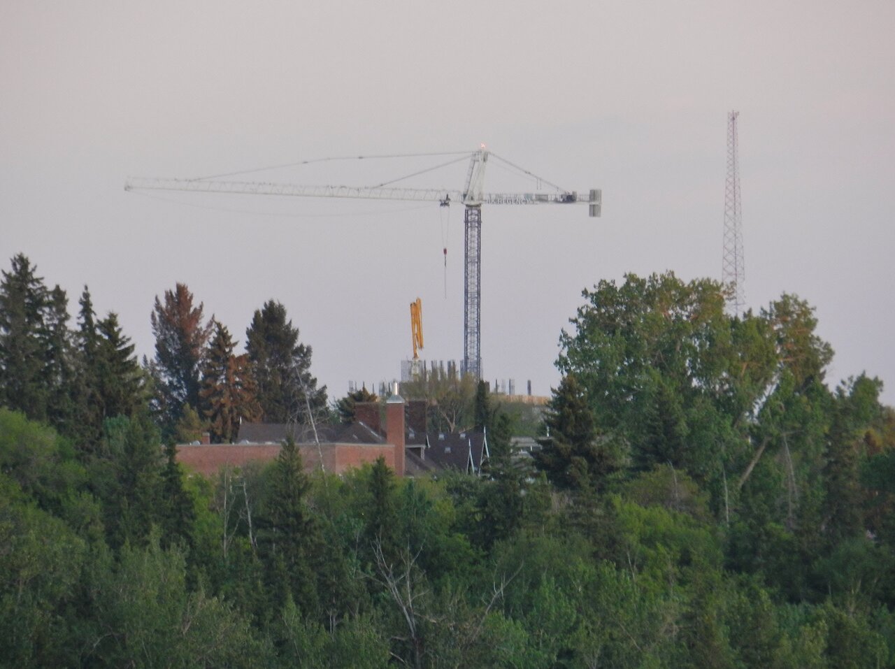 2021-05-29 201.JPG