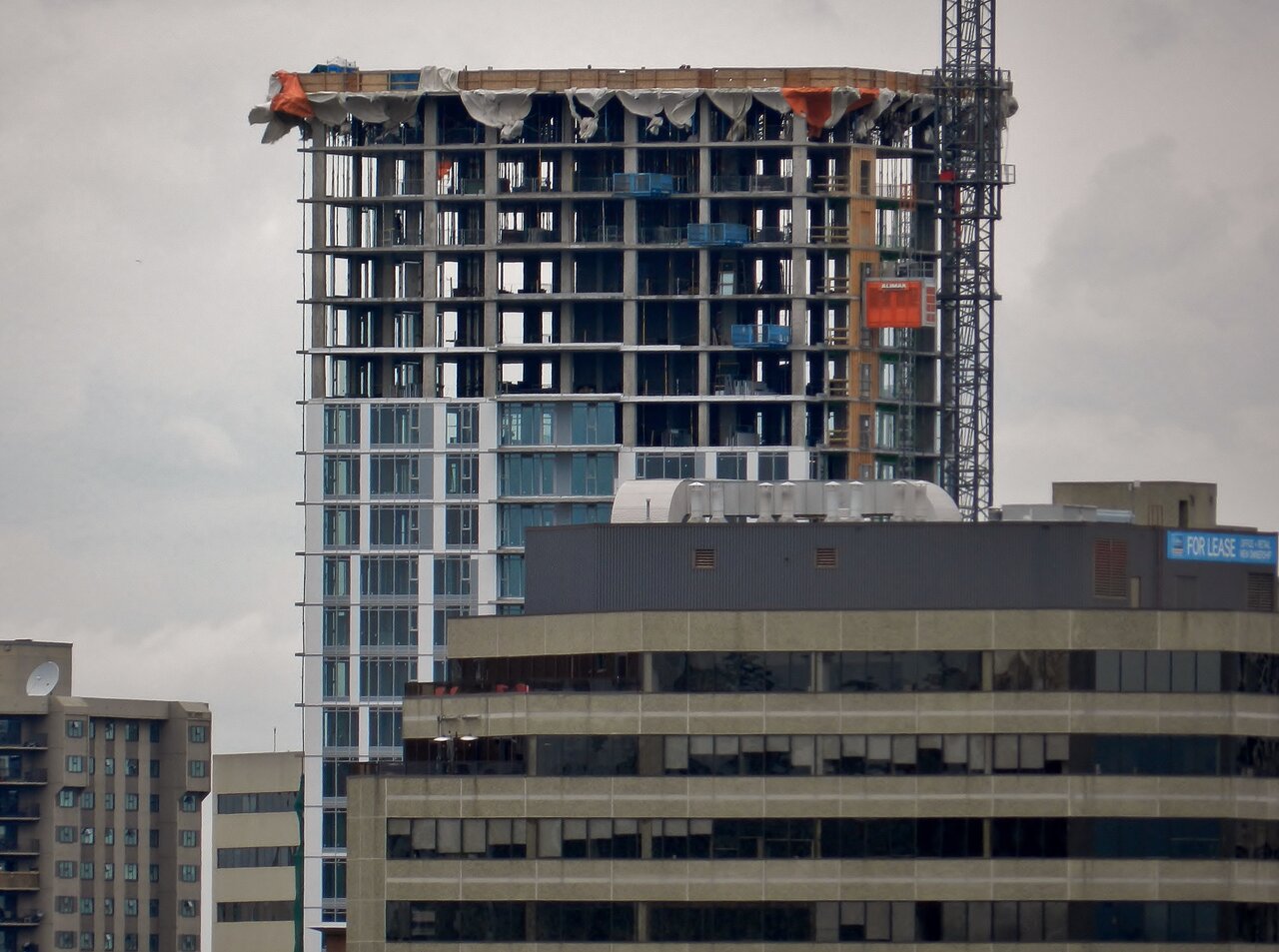 2021-06-09 051.JPG