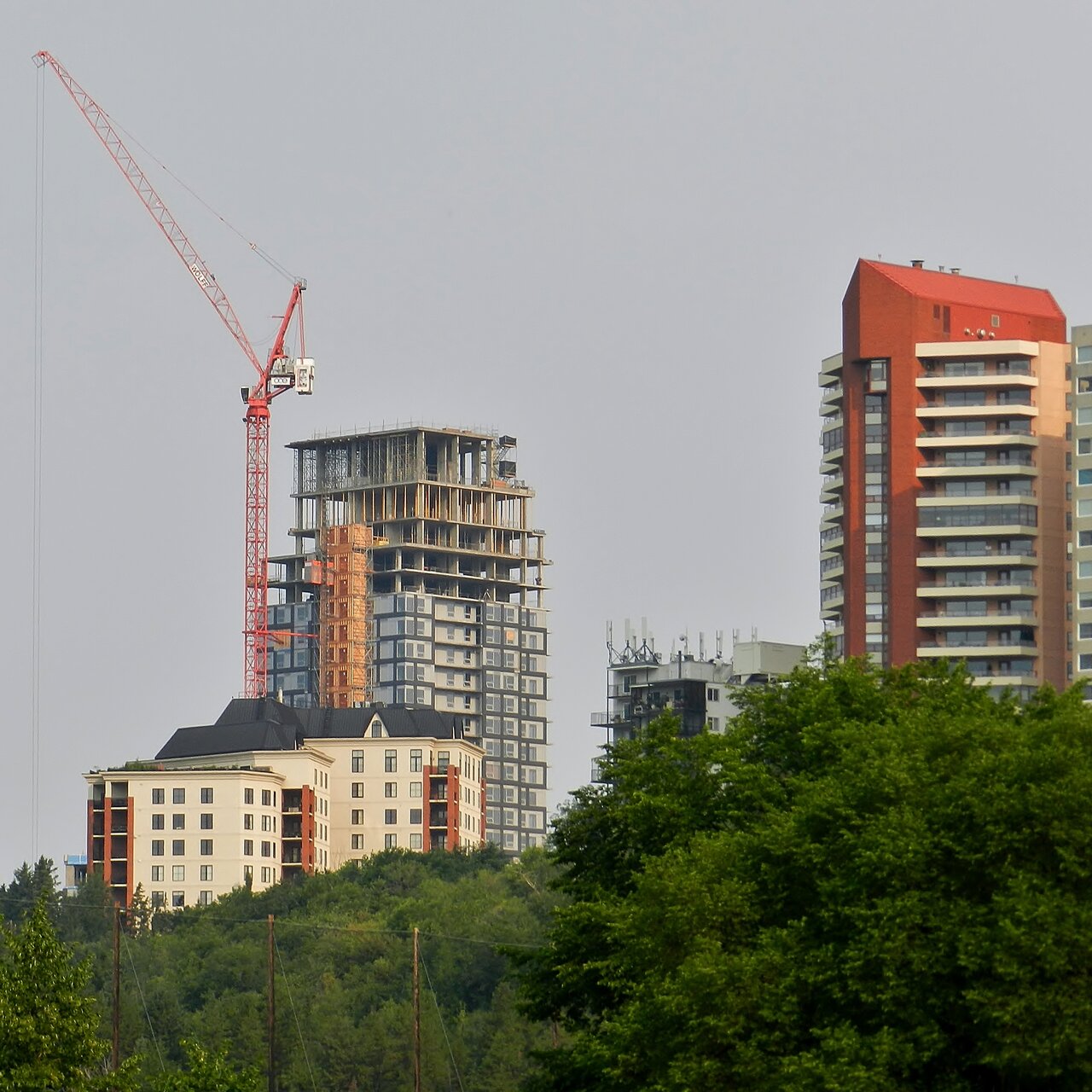 2021-07-22 048.JPG