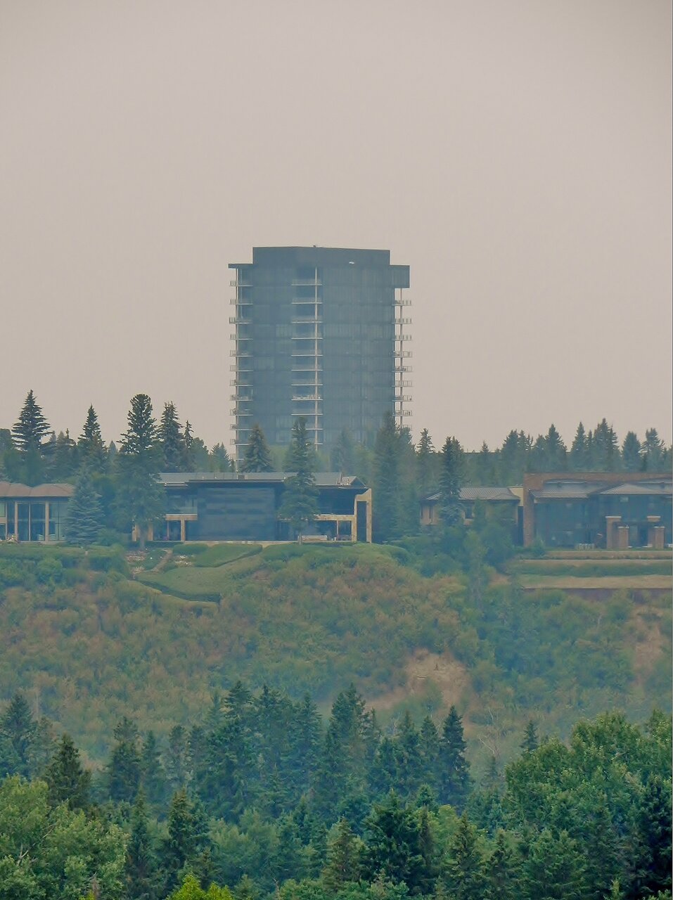 2021-08-02 027.JPG
