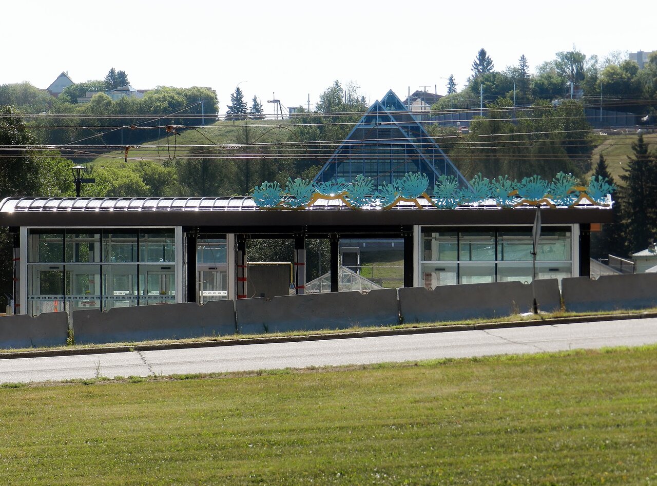 2021-08-12 057.JPG