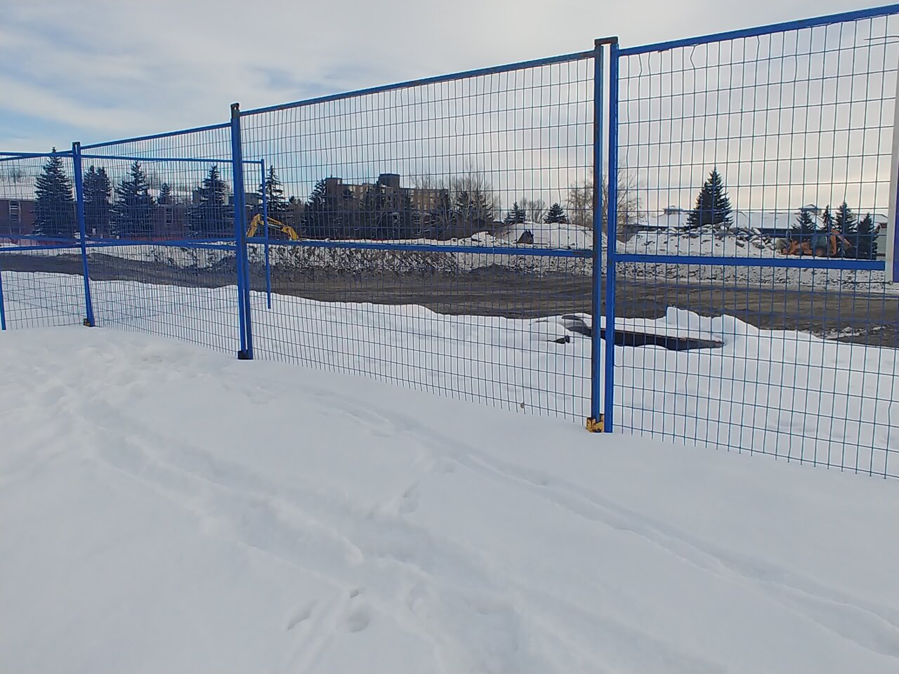 20210218_154532.jpg