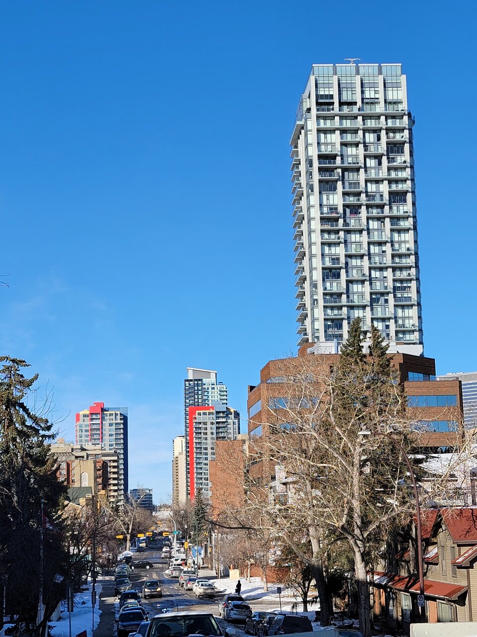 20210220_153133.jpg