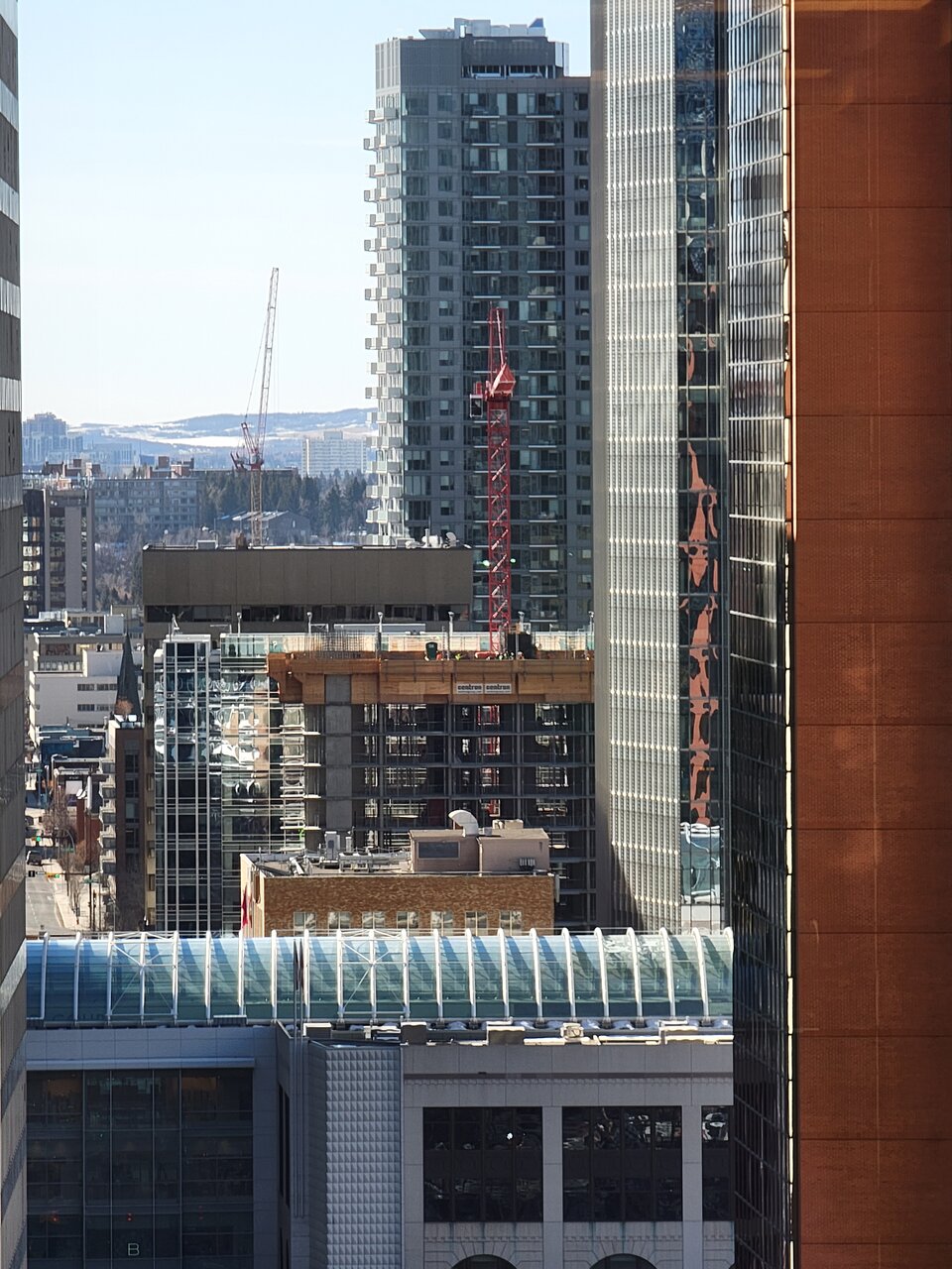 20210308_102425(0).jpg