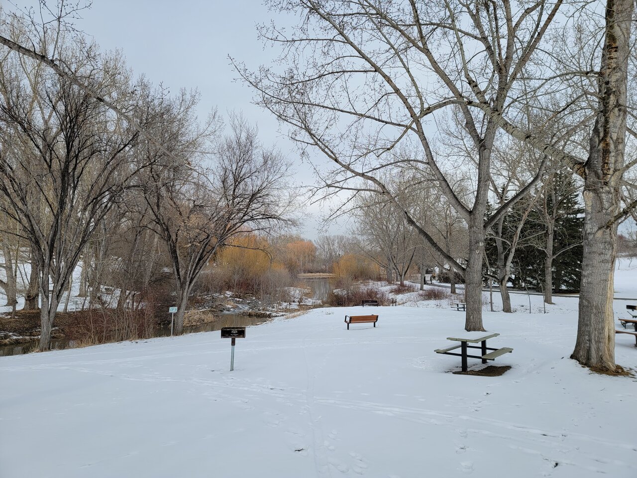20210326_164952.jpg