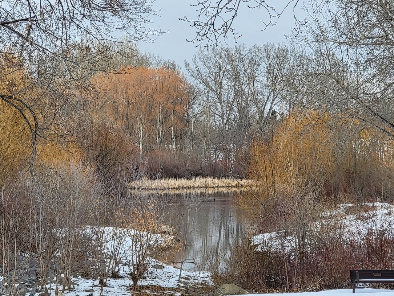 20210326_165003.jpg