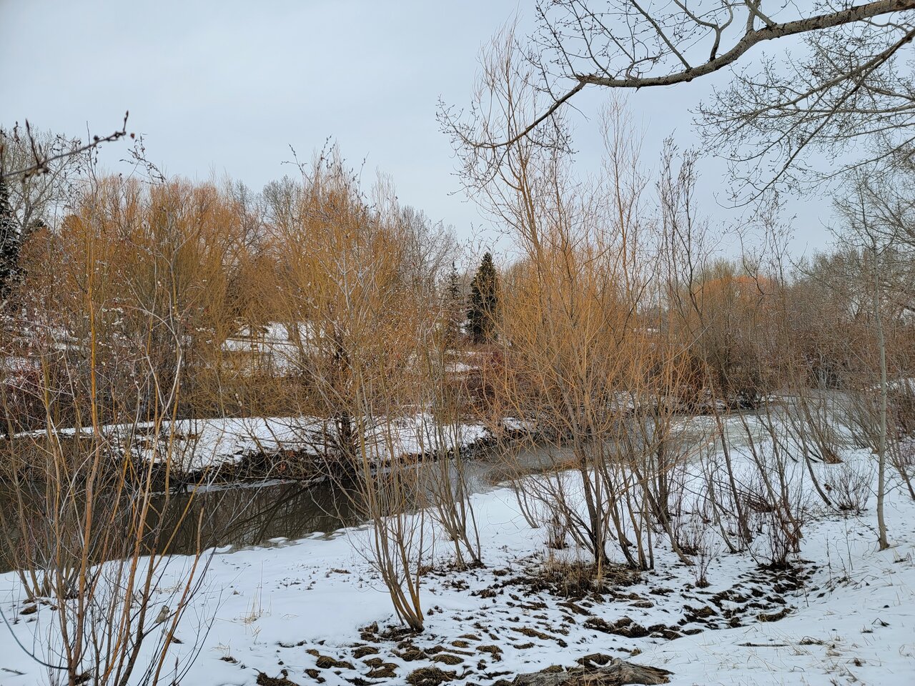 20210326_165636.jpg