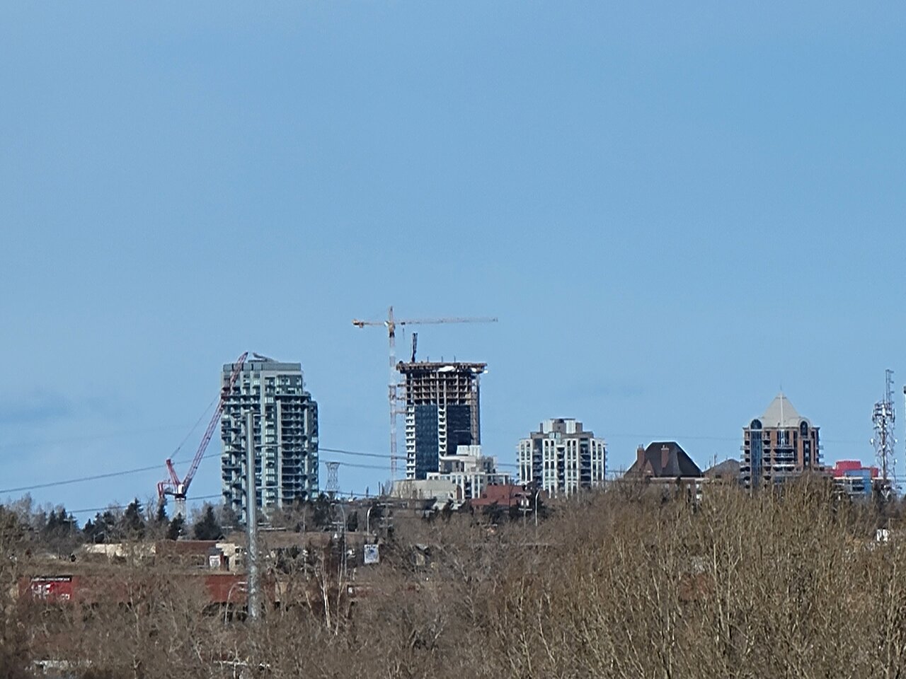 20210328_114134.jpg