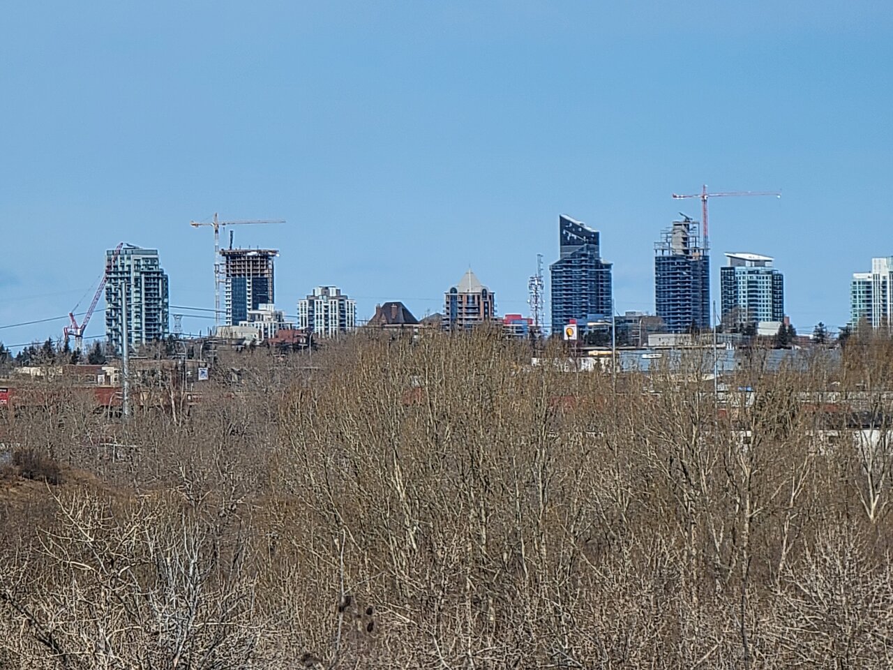 20210328_114143.jpg