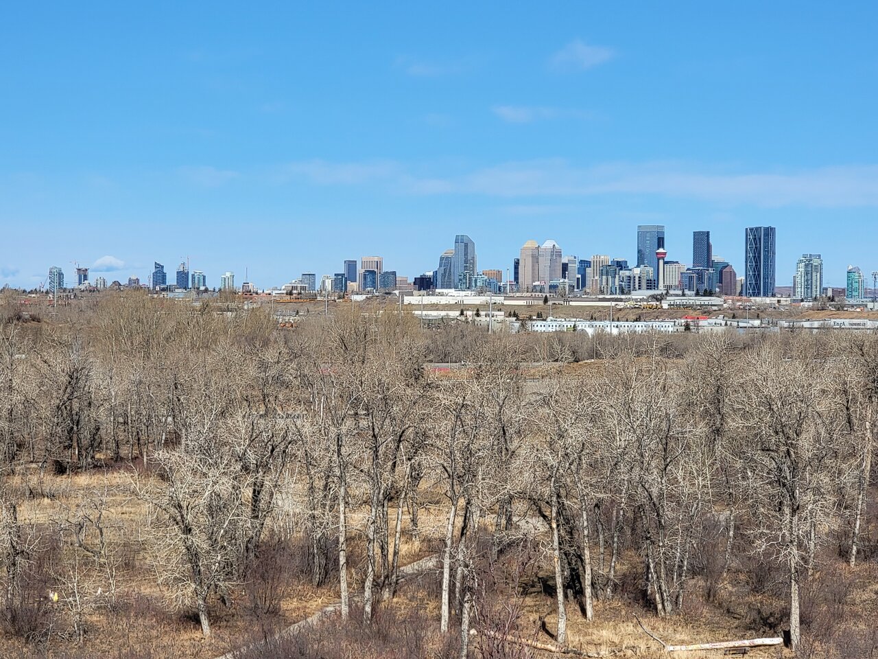 20210328_115535.jpg