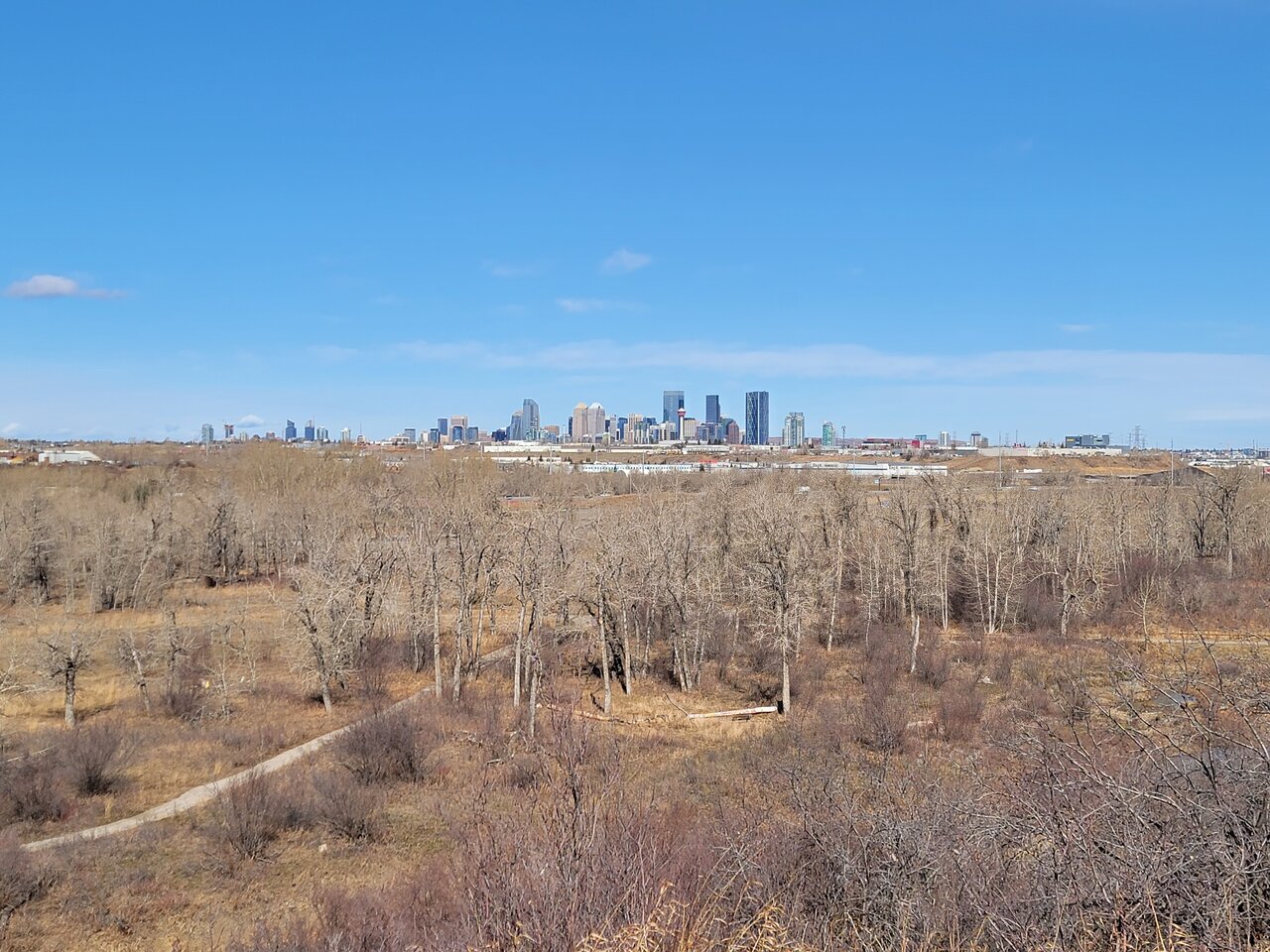 20210328_115540.jpg