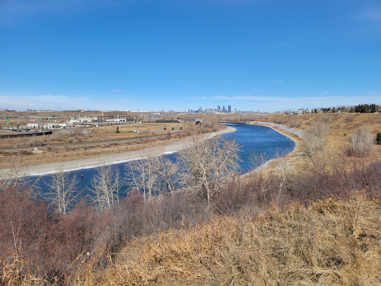 20210328_120232.jpg