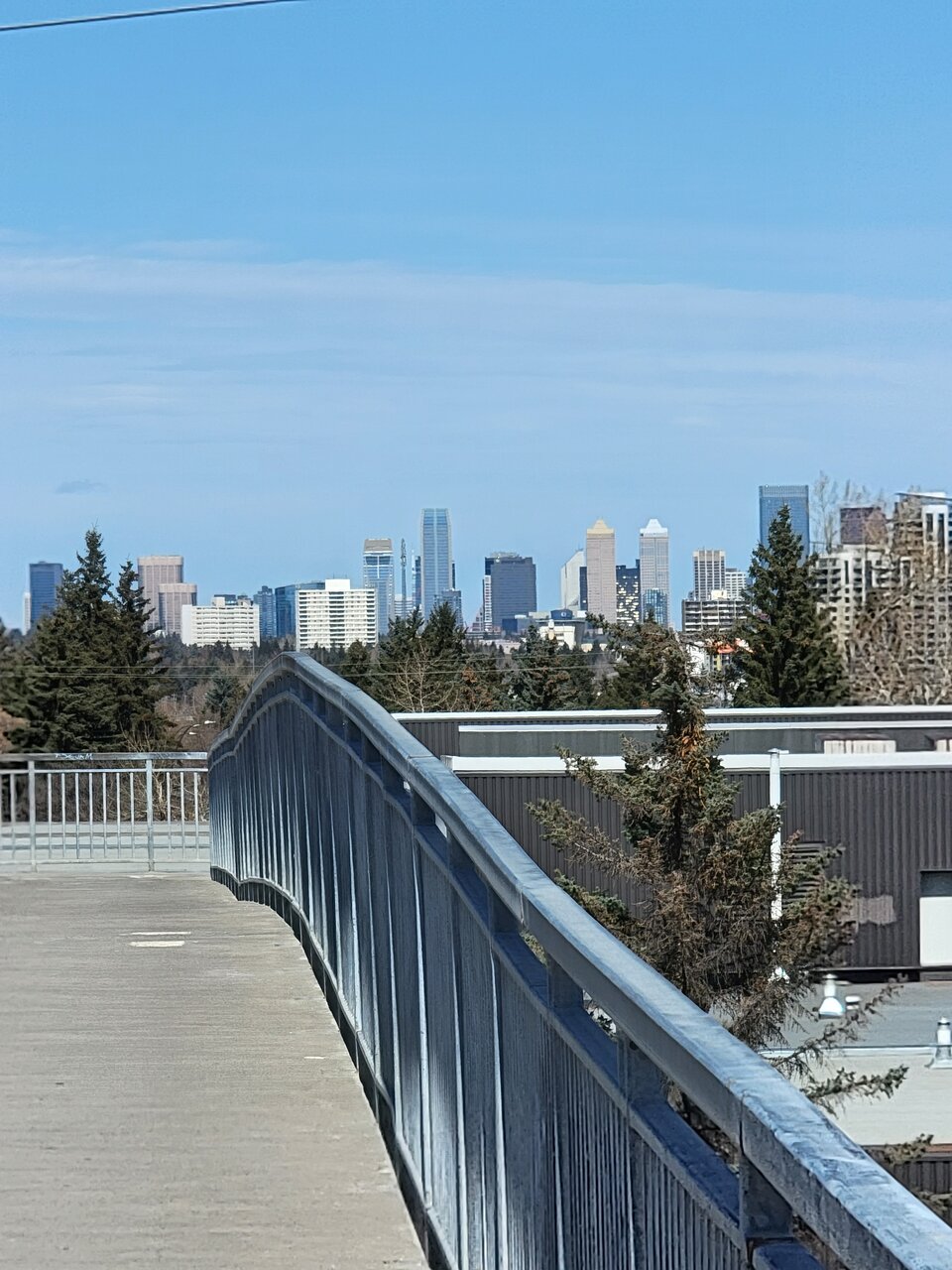 20210328_134719.jpg