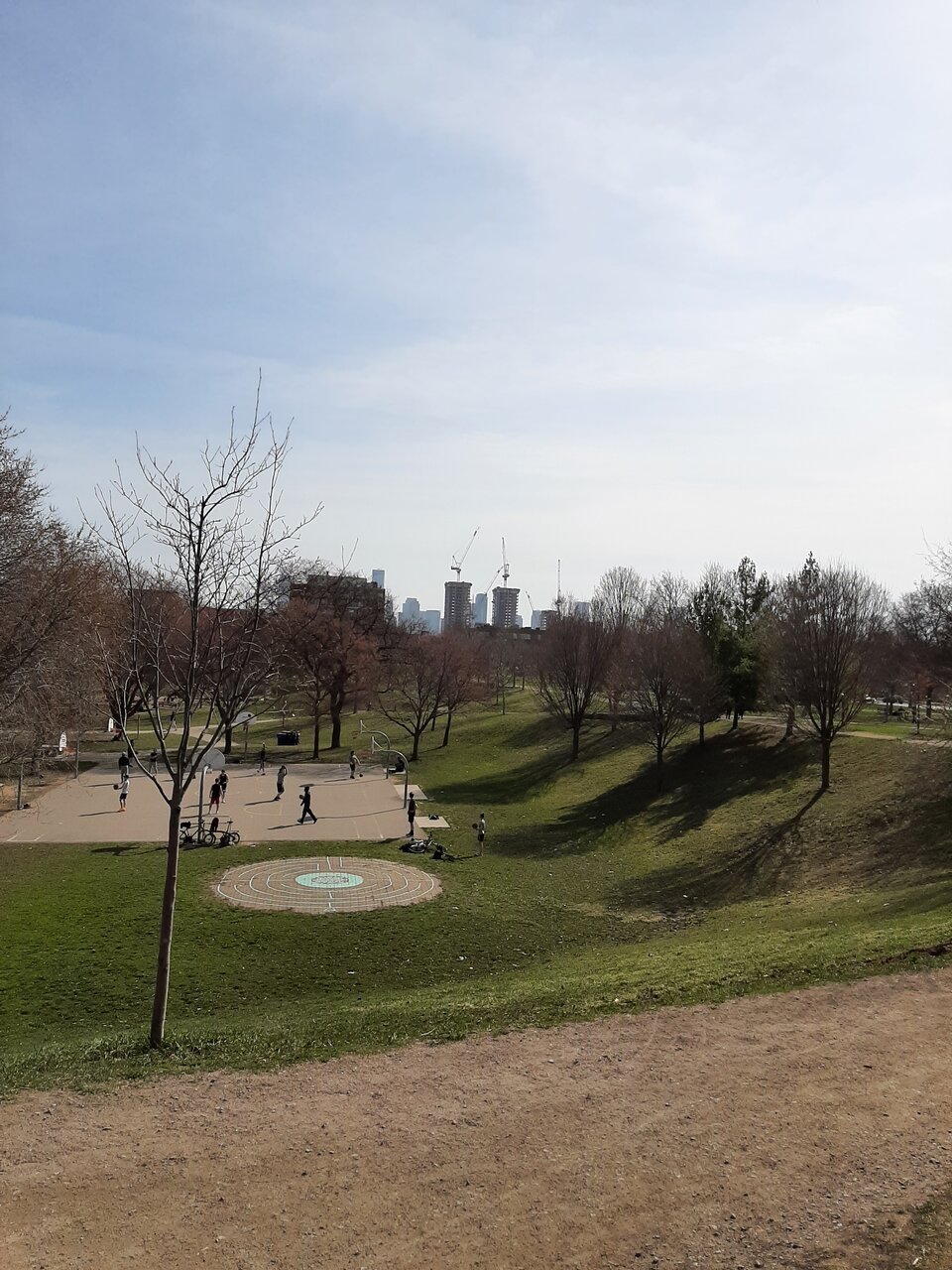 20210410_101628.jpg