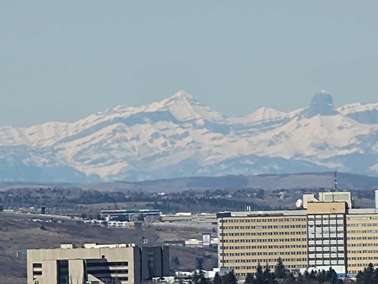 20210413_122012.jpg