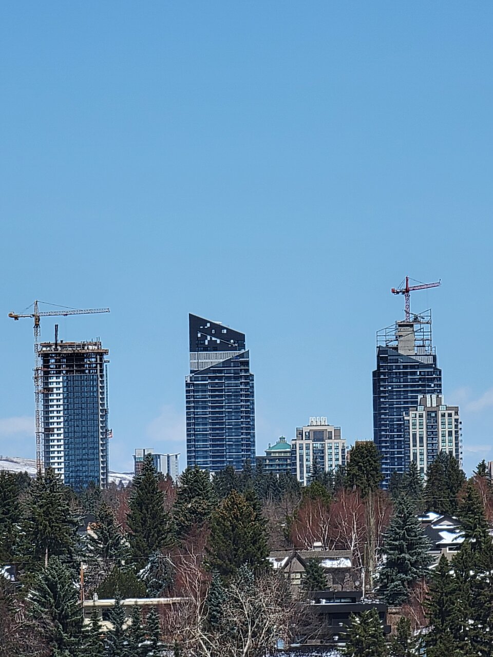 20210419_130229.jpg