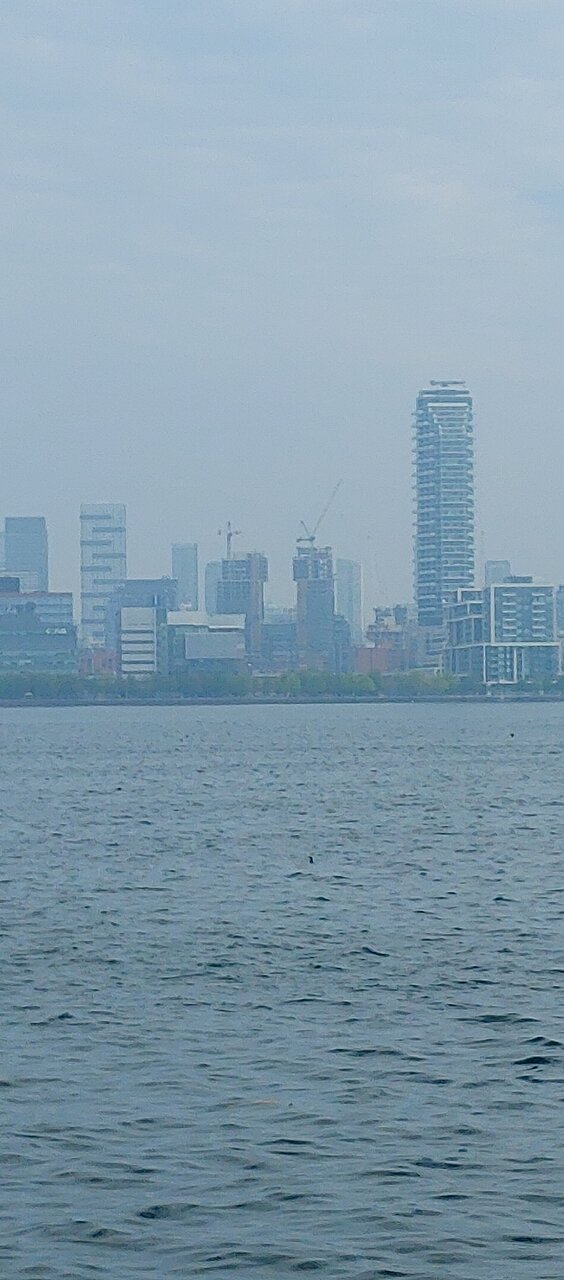 20210604_093946.jpg