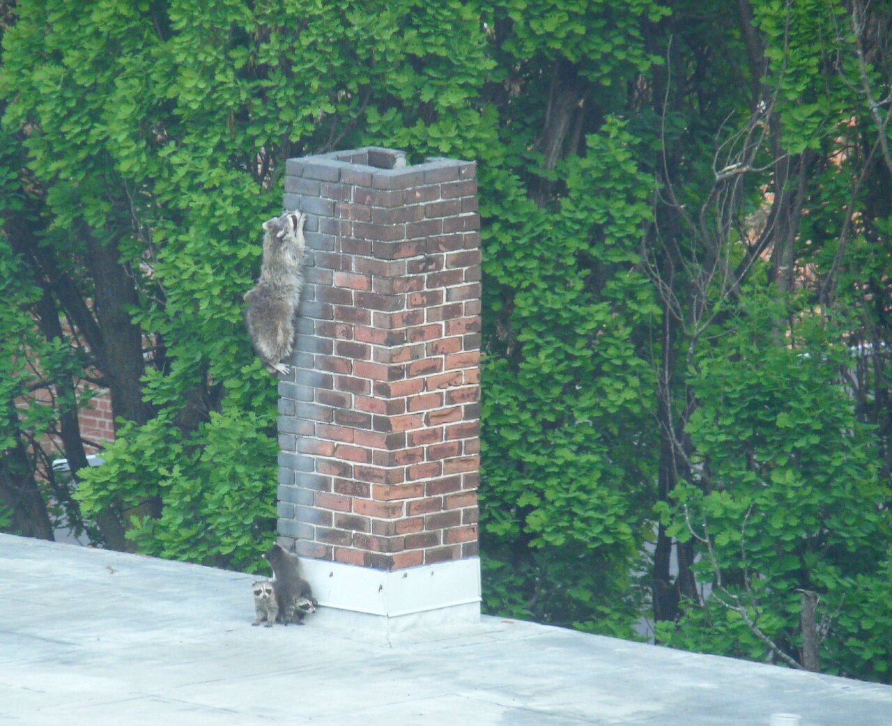 20210611_Imagepipe_2.jpg