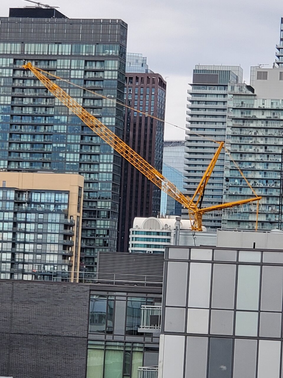 20210614_105442.jpg