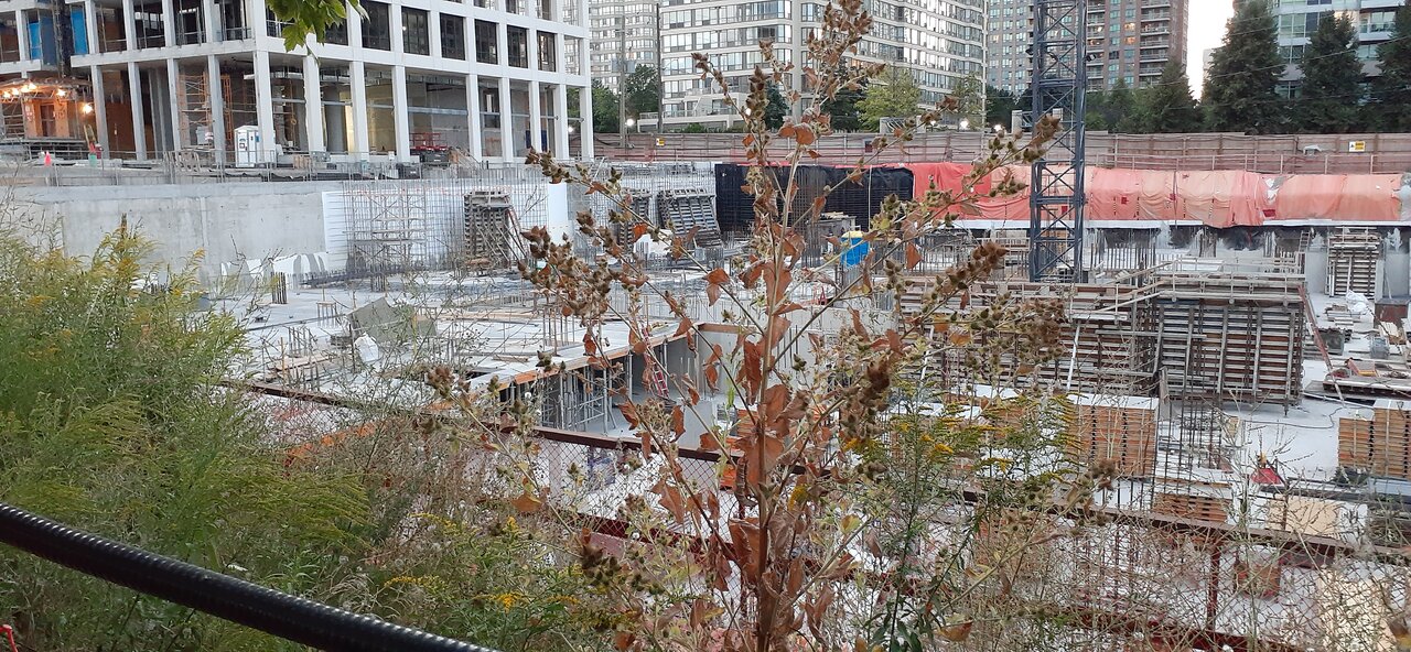 20210821_201423.jpg